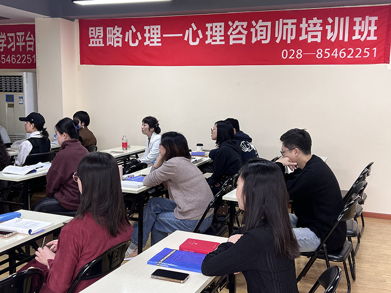 成都心理咨询师报考，机构筛选指南+靠谱推荐——四川盟略